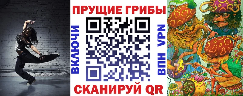 omg зеркало  Аша  Псилоцибиновые грибы GOLDEN TEACHER 