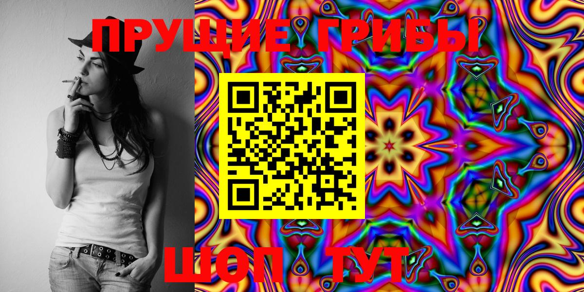 Псилоцибиновые грибы Psilocybe  Вход с VPN  Аша 